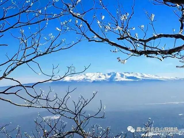 什么是少白头发?- 有问必答,解决你的疑惑